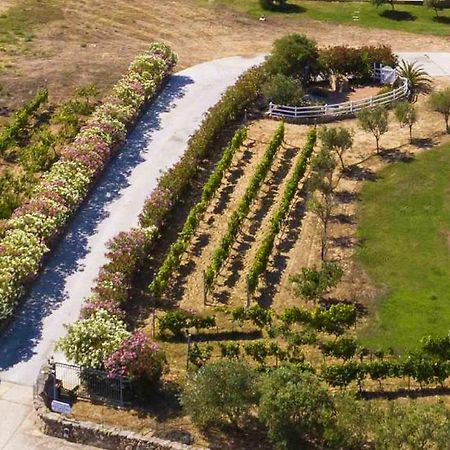 Vila La Littighedda Rena Majore Exteriér fotografie