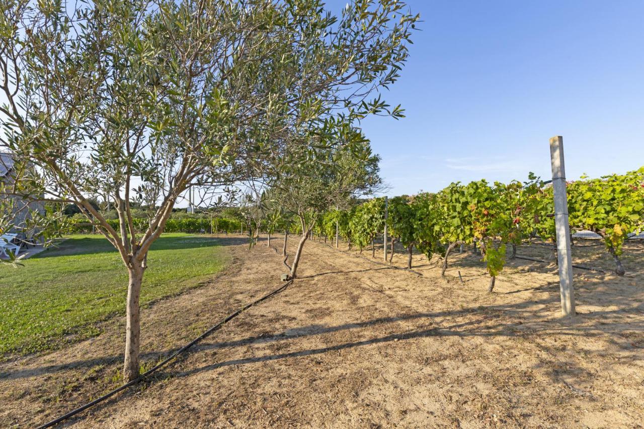 Vila La Littighedda Rena Majore Exteriér fotografie